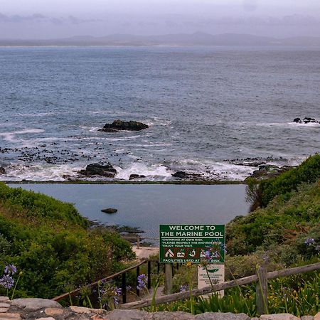 Protea & Pincushion Cottages Hermanus Exterior foto