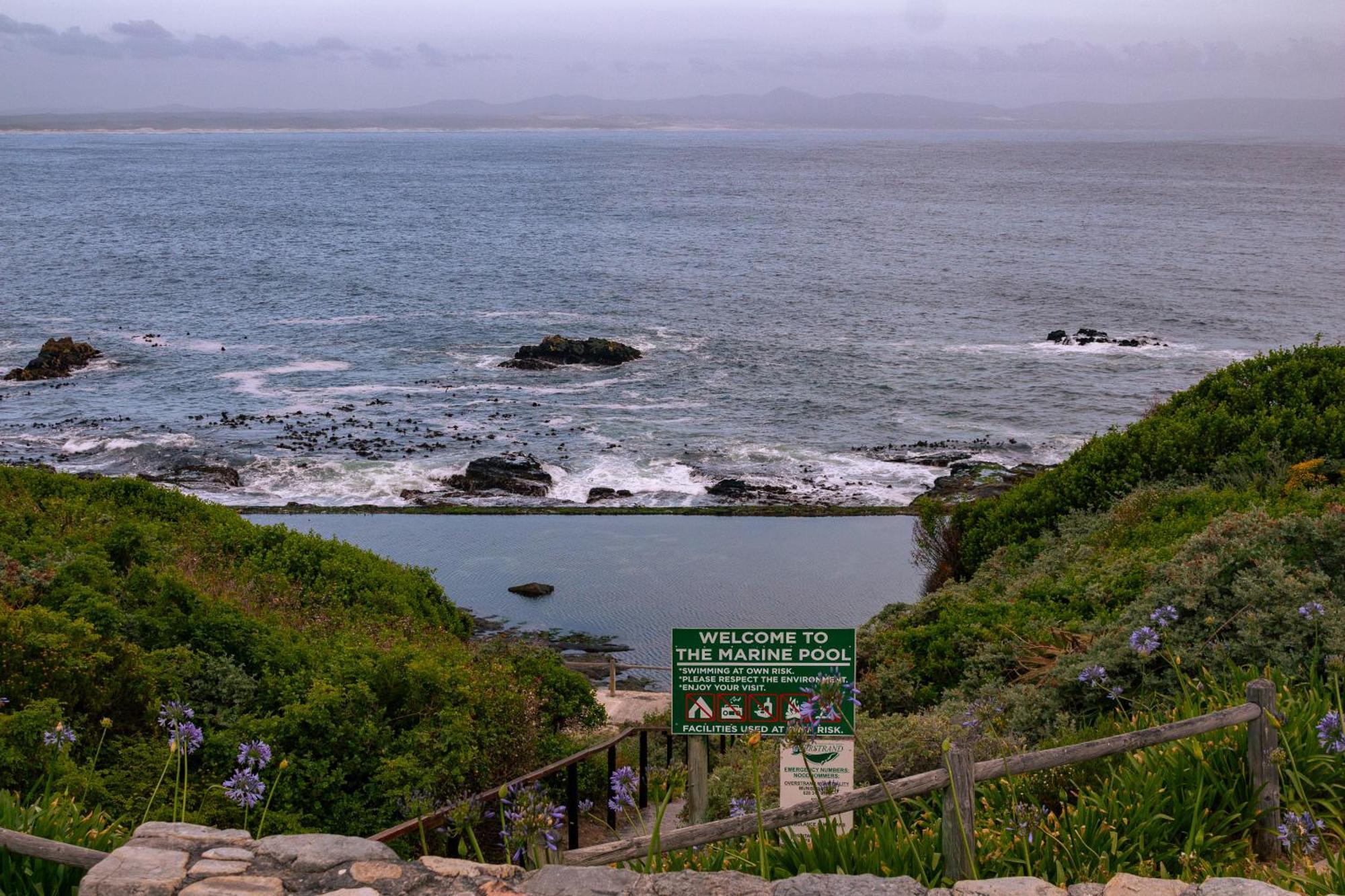 Protea & Pincushion Cottages Hermanus Exterior foto